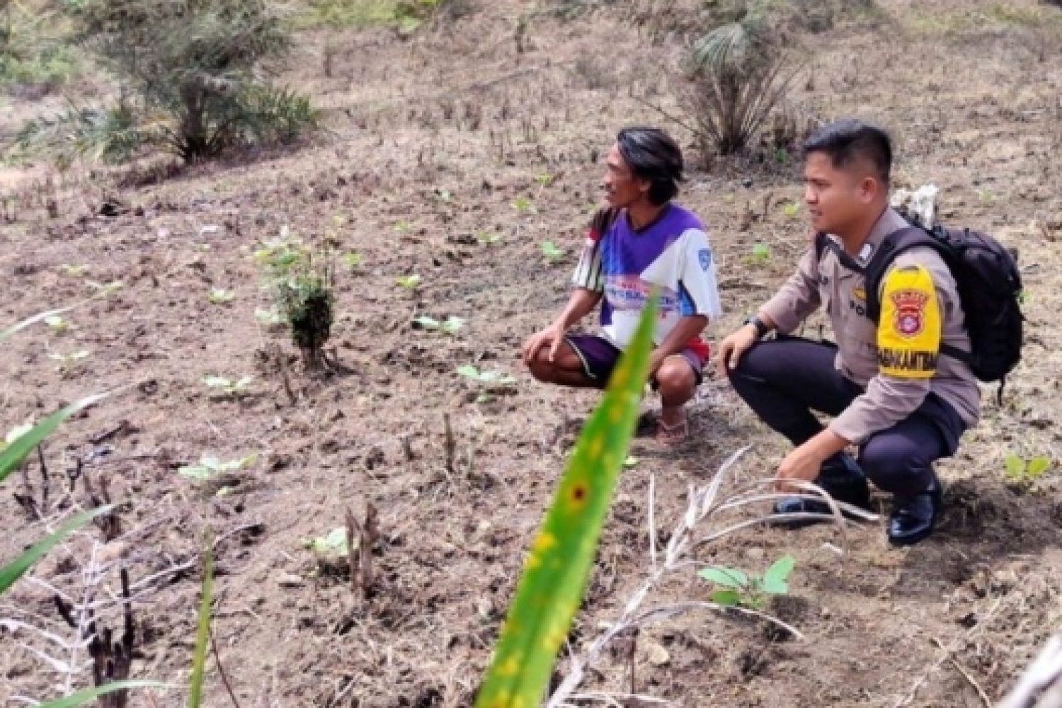 Screenshot_2025-11-10-07-31-51-662-edit_com.android.chrome