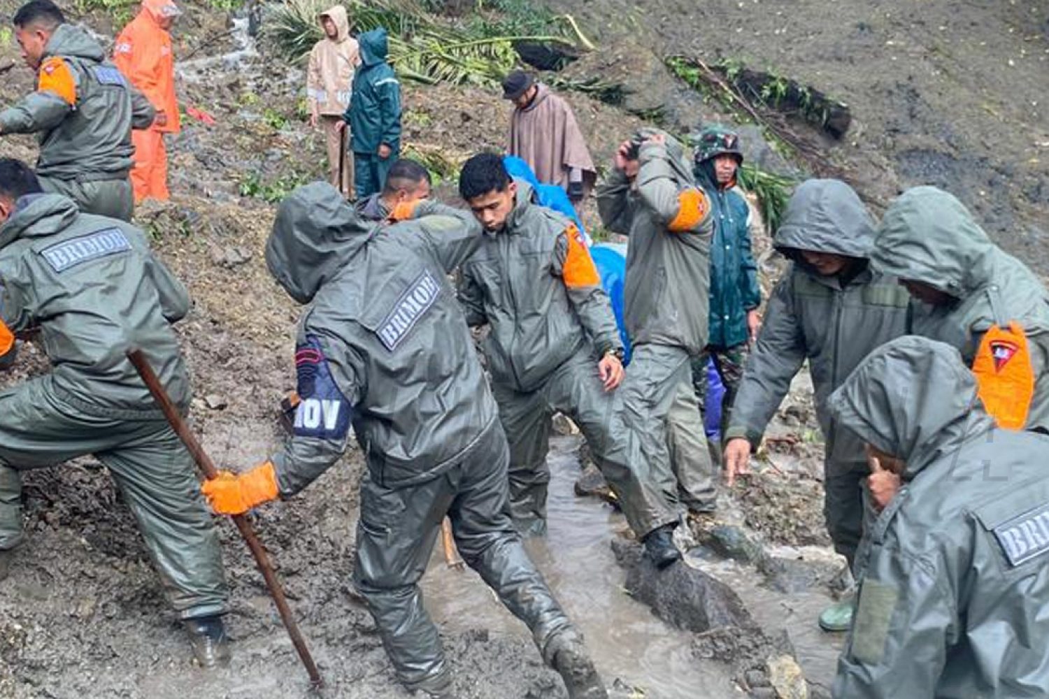 Screenshot_2026-01-24-08-10-57-682-edit_com.android.chrome