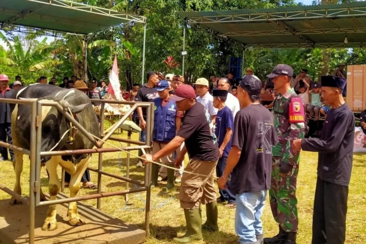 Screenshot_2026-03-25-09-29-52-426-edit_com.android.chrome